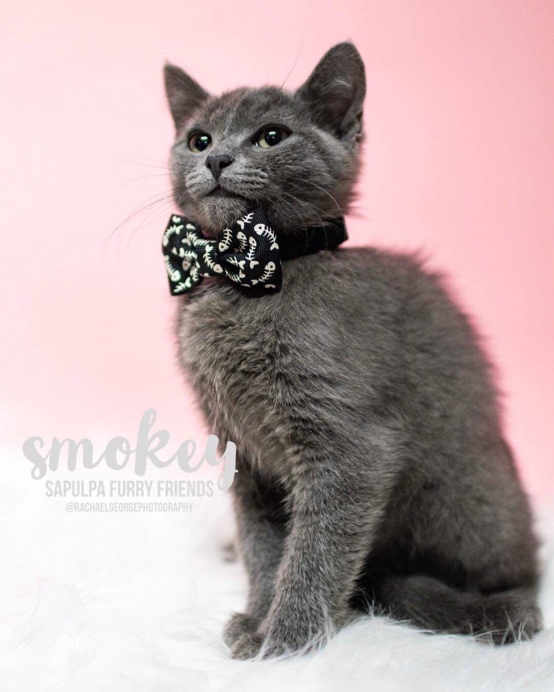 Smokey